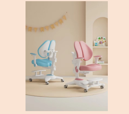 Ghế chống gù C010