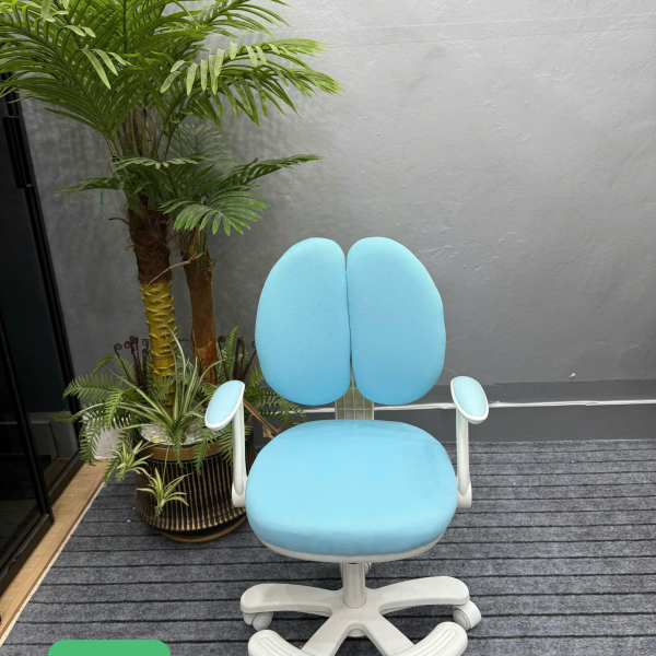 Ghế chống gù 868