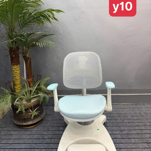 Ghế chống gù Y10