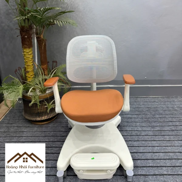Ghế chống gù Y10