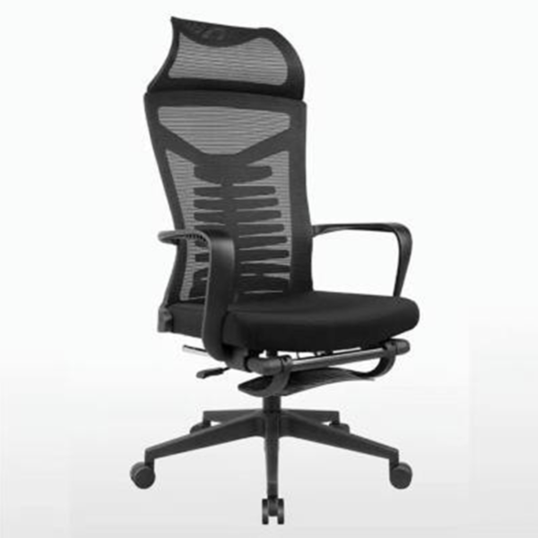 Ghế công thái lọc lưng lưới 36